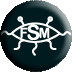 Flying Spaghetti Monster
