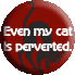 Even My Cat is Perverted