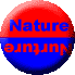 Nature vs Nurture
